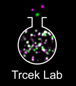 Trek Lab Logo