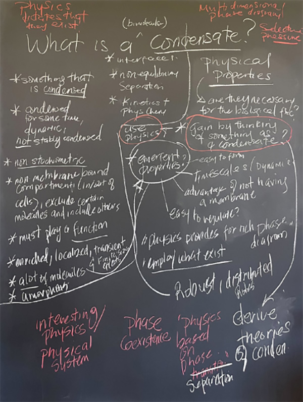 arXiv